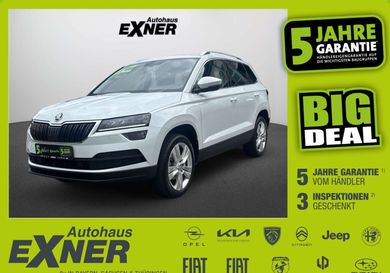 Skoda Karoq, 2020