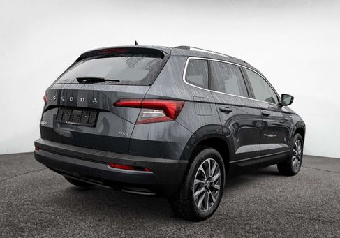 Skoda Karoq, 2020