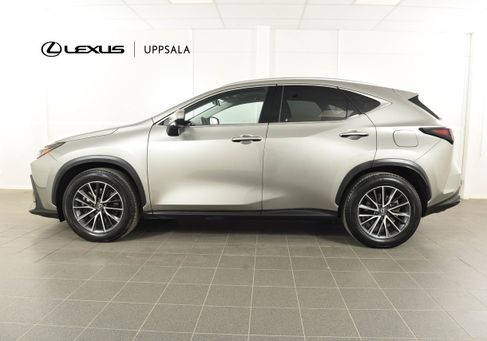 Lexus NX, 2024