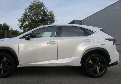 Lexus NX, 2019