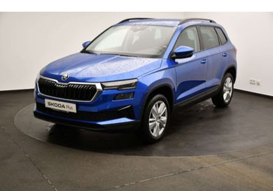 Skoda Karoq, 2024