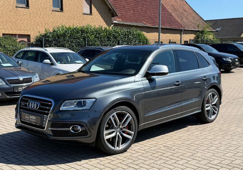 Audi SQ5, 2017