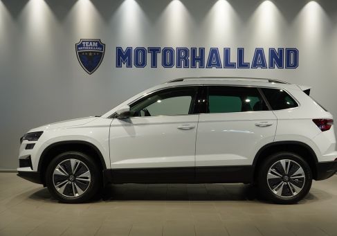 Skoda Karoq, 2023 2
