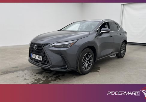 Lexus NX, 2024