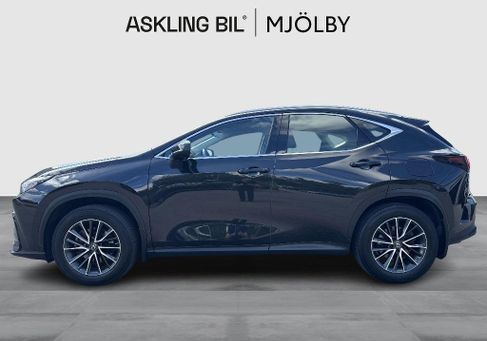 Lexus NX, 2022