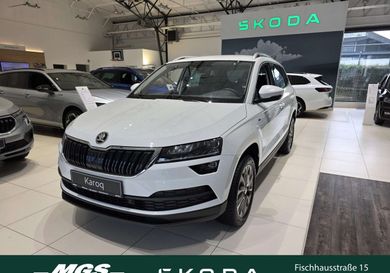 Skoda Karoq, 2021