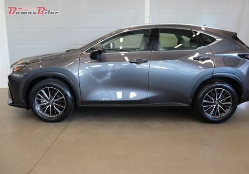 Lexus NX, 2023
