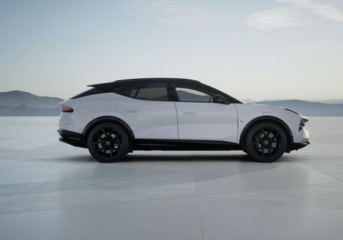 Lotus, 2025 3
