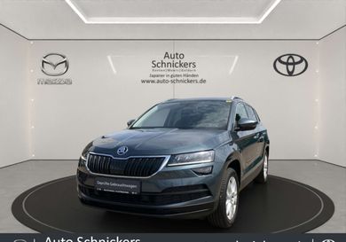 Skoda Karoq, 2020