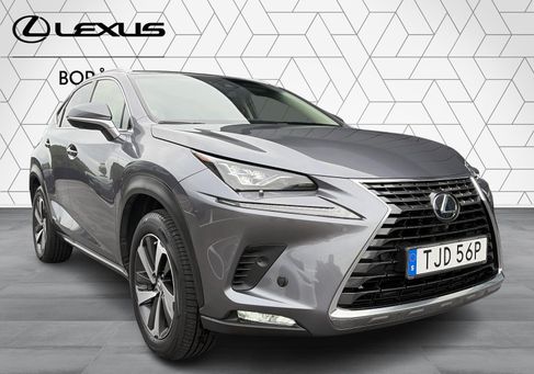 Lexus NX, 2019