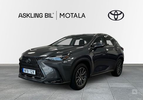 Lexus NX, 2024