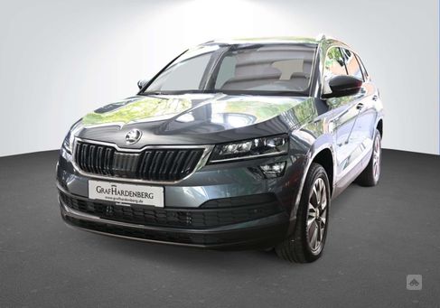 Skoda Karoq, 2021