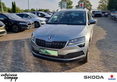 Skoda Karoq, 2021