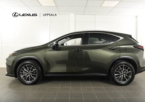 Lexus NX, 2025 3