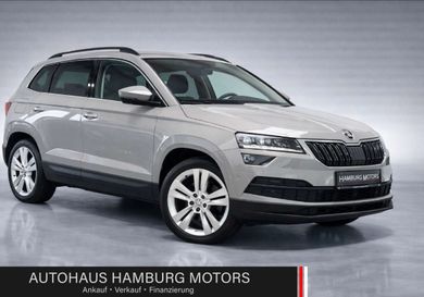 Skoda Karoq, 2021