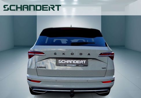 Skoda Karoq, 2023