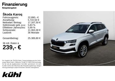 Skoda Karoq, 2022