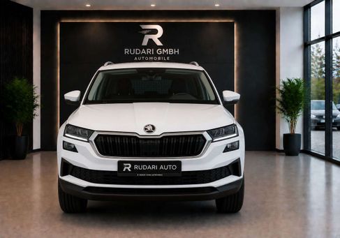 Skoda Karoq, 2023