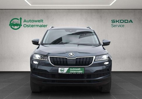 Skoda Karoq, 2019