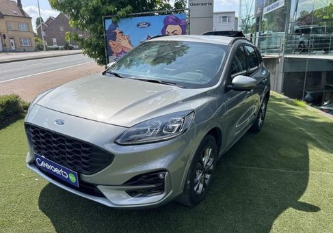 Ford Kuga, 2024