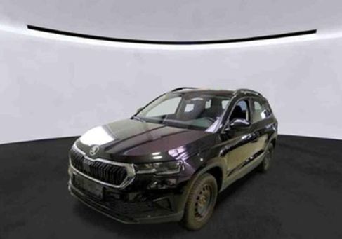 Skoda Karoq, 2024