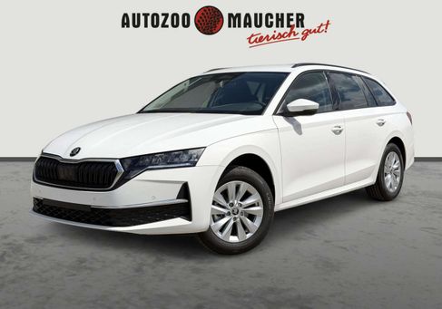 Skoda Octavia, 2026 2