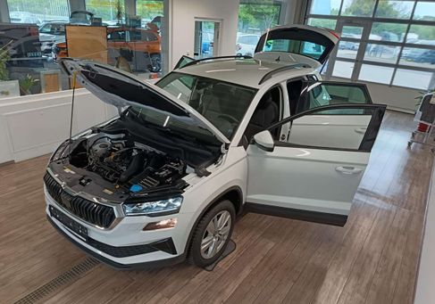 Skoda Karoq, 2025