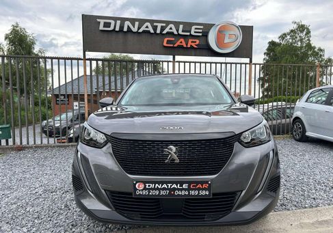 Peugeot 2008, 2021
