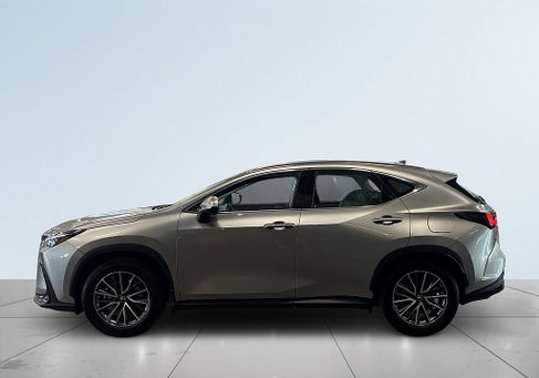 Lexus NX, 2023