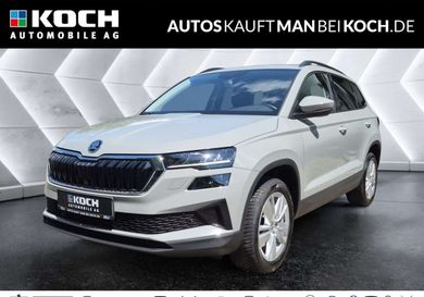 Skoda Karoq, 2024