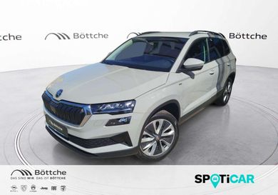 Skoda Karoq, 2022