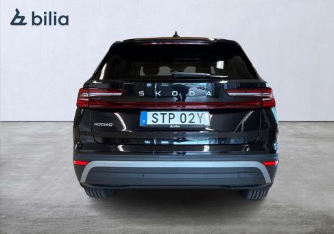 Skoda, 2025 3