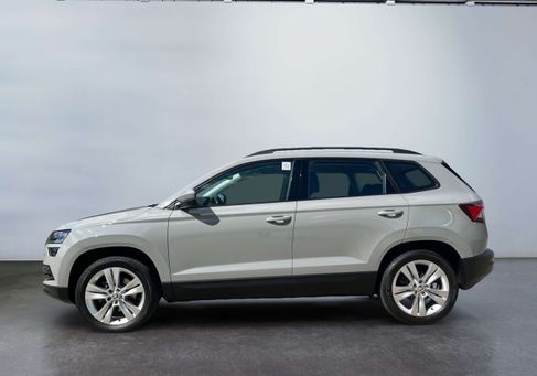 Skoda Karoq, 2019