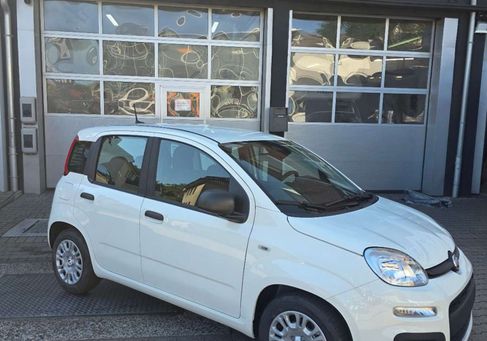 Fiat Panda, 2026