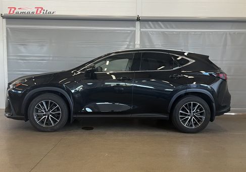 Lexus NX, 2023