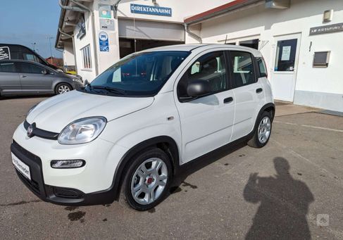 Fiat Panda, 2024