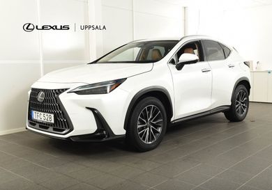 Lexus NX, 2023