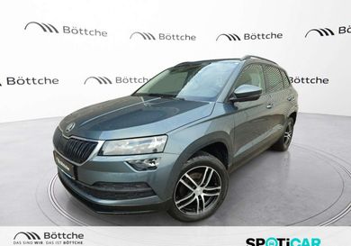 Skoda Karoq, 2020