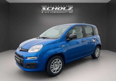 Fiat, 2025