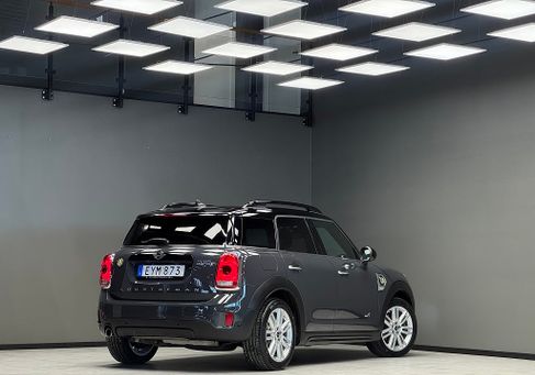 MINI, 2019