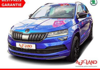 Skoda Karoq, 2019