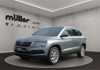 Skoda Karoq, 2019