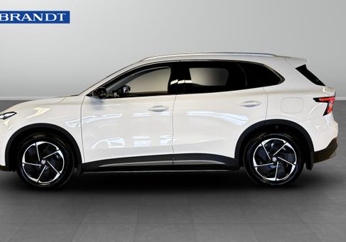 MG, 2025