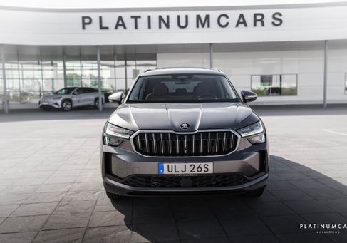 Skoda Kodiaq, 2024