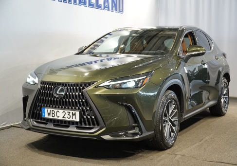 Lexus NX, 2024
