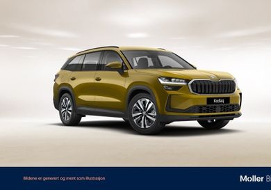 Skoda Kodiaq, 2024