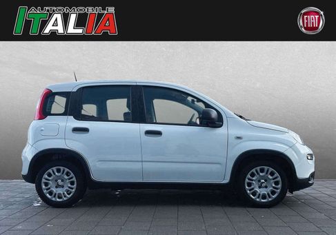 Fiat Panda, 2024