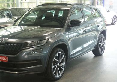 Skoda Kodiaq, 2020