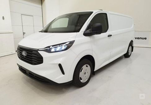 Ford Transit, 2024