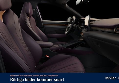 Cupra, 2025